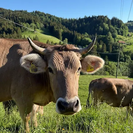 Alpe Sonnenruh *