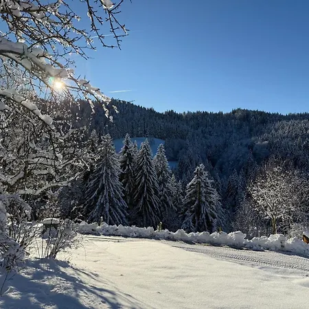 Alpe Sonnenruh * Buchenberg (Bavaria)