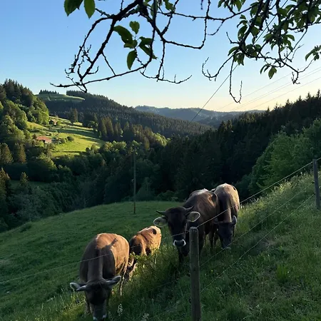 Holiday home Alpe Sonnenruh Buchenberg (Bavaria)