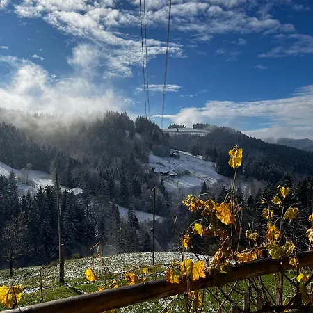 Alpe Sonnenruh Vakantiehuis *