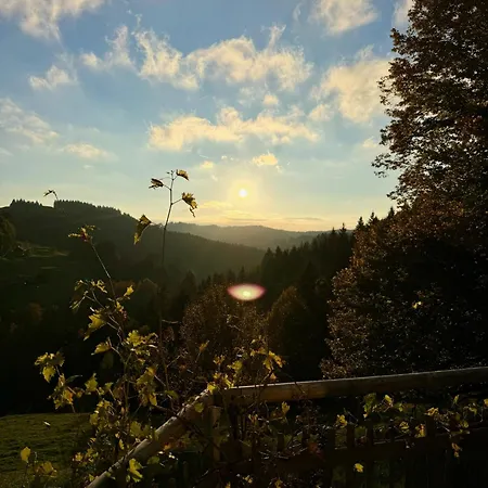 Alpe Sonnenruh *